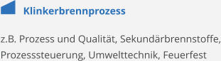 Klinkerbrennprozess z.B. Prozess und Qualität, Sekundärbrennstoffe, Prozesssteuerung, Umwelttechnik, Feuerfest